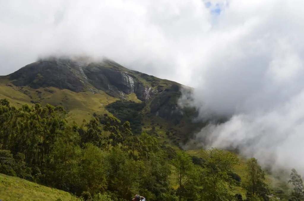 மூணார் ஹில் ஸ்டேஷன் - Munnar Hills Station இரவிகுளம் தேசிய பூங்கா Eravikulam National Park