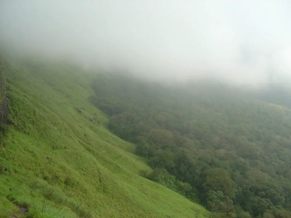 புல் மலைகள் Grass Hills: வால்பாறை 