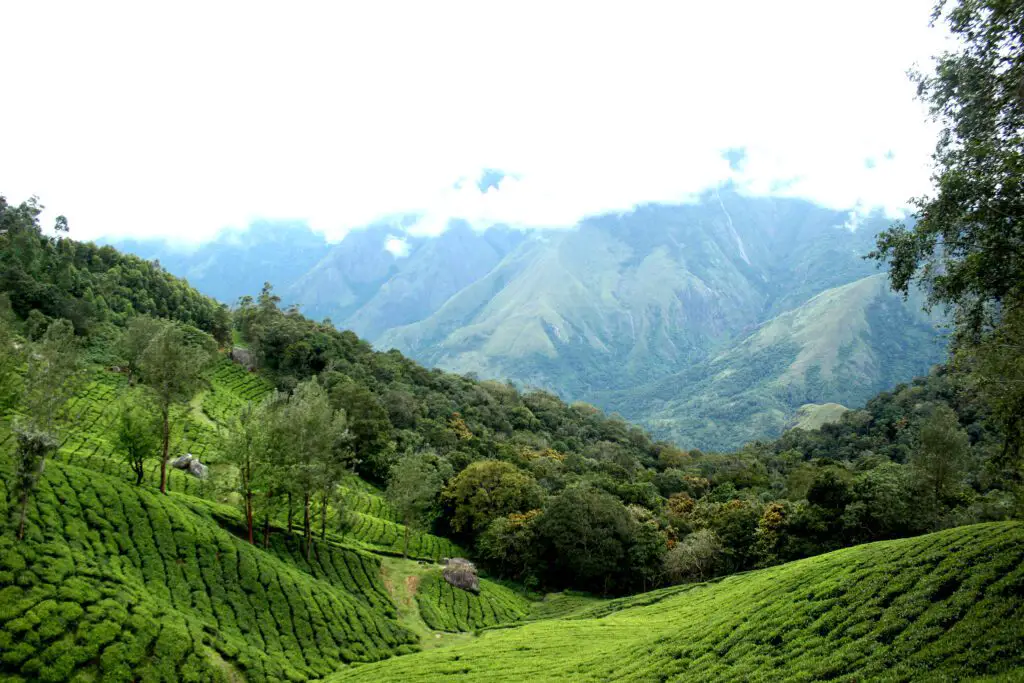 மூணார் ஹில் ஸ்டேஷன் - Munnar Hills Station எக்கோ பாயிண்ட் Echo Point