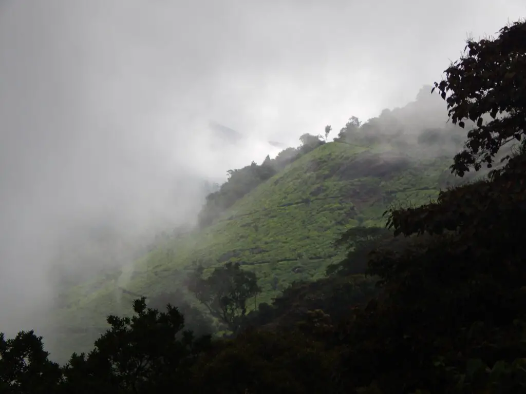 மூணார் ஹில் ஸ்டேஷன் - Munnar Hills Station pothamedu viewpoint