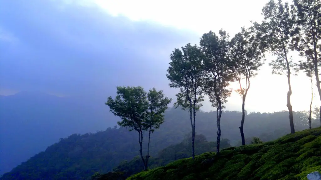 மூணார் ஹில் ஸ்டேஷன் - Munnar Hills Station 