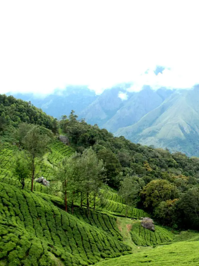 Munnar Hill Station Top 8 Places