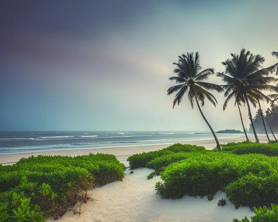 white sand beaches in Kerala